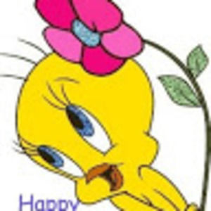 Meet your Posher, Barbara